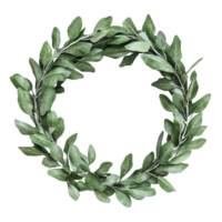 Fresh green leaf wreath on a white background png