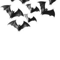 Bats flying in formation on white png