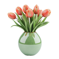 Fresh tulips in a green vase on a white background png