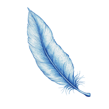 azul pluma ilustración en blanco antecedentes png