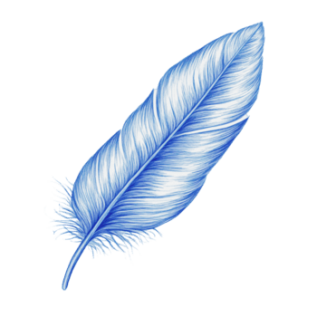 azul pluma ilustración en blanco antecedentes png