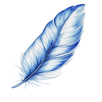 detallado azul pluma en blanco png