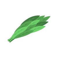 Scallion Seasoning Illustration vector