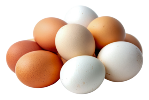 A collection of eggs in various colors and sizes png