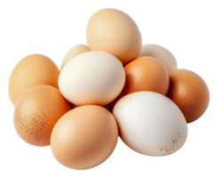 Fresh farm eggs stacked together in natural colors png