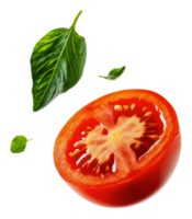 Tomato and basil on a white background png