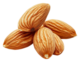 Fresh almonds arranged on a white background png