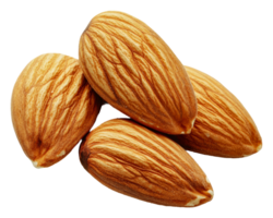 Fresh almonds neatly arranged png