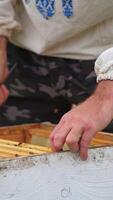 Beekeeper is working with bees and beehives on the apiary. Frames of a bee hive Vertical video