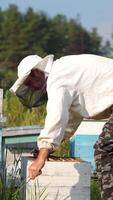 Beekeeper is working with bees and beehives on the apiary. Beekeeper on apiary. Vertical video