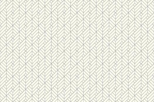 a white and gray background with a diamond pattern vector