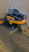 Combine harvester on yellow field. Agriculture machine harvesting ripe crop in farmland. Harvesting in wheat field. Agriculture and healthy food concept. Aerial view. Vertical video