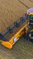 Combine harvester. Cutting blades of combine in farmland. Modern agriculture machine harvesting ripe crop on field. Close-up. Vertical video