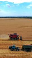 Agricultural machinery at seasonal works. Red combine harvester gathering ripe crop in the farmland in summer. Tractor with trailer full of grains moving on field. Vertical video