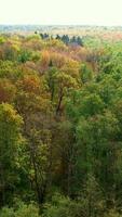Beautiful scenery of an autumn forest on sunny bright day. Drone footage over the colorful trees at the backdrop of clear sky. Vertical video