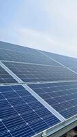 solar bateria construções dentro a luz solar. moderno solar painel produzir limpar \ limpo renovável energia. fotovoltaico solar painel em a chão. vertical video