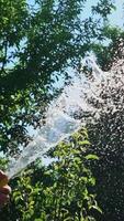 Working watering garden from hose. Close up view of watering the garden with hose. Vertical video