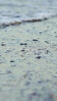 Foamy sea shore at the beach. Close up view of soft waves lapped the sandy beach. Vertical video