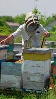 Apiarist applies different tools during his check up at bee farm. Man cleans the frames using metal instrument. Green trees backdrop. Vertical video
