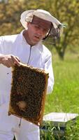 Honey frame coated with bee brood in the hands of a beekeeper. Apiculturist holding wax frame with bare hands. Blurred nature backdrop. Vertical video