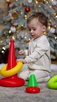 Calm Caucasian baby builds a toy pyramid sitting on the floor. Christmas tree and a black cat under it at backdrop in blur. Vertical video