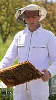 Apiarist watching carefully the heavy honey frame. Beekeeper standing in his bee farm and checking the hives. Nature backdrop in blur. Vertical video