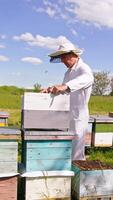 Apiculturist in white uniform uses instrument to pick up the frame. Apiary of wooden beehives in the nature background. Vertical video