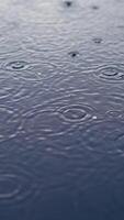 Water drops on river surface. Ripples from rain droplets falling on water surface. Vertical video