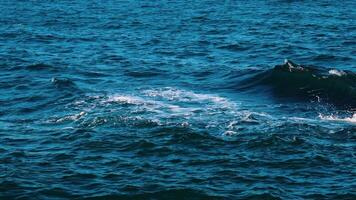 Sea wave close up. Close up of blue sea surface with waves video