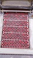 Modern conveyor on berry factory. Close up view of berries factory production equipment. Vertical video