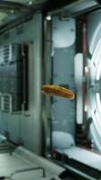 marinated pickled cucumber floating in internation space station video