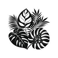 Tropical Tree Leaf Illustrations for Digital Design vector
