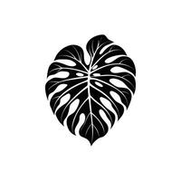 Elegant Tropical Leaf Silhouette Illustrations for Design vector