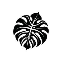 Elegant Silhouettes of Tropical Leaves for Design Projects vector