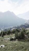 Grassy Field With Trees and Mountains video