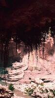 View from cave to the light video