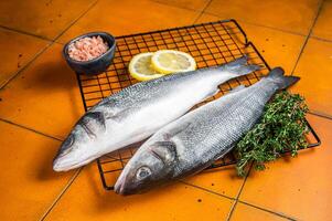Raw Sea Bass fish with lime and herbs. Orange background. Top view photo