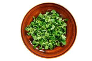 Fresh green corn salad leaves on a rustic plate. Isolated on white background. photo