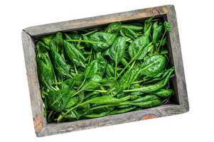 Raw spinach leaves in a wooden box. Natural Isolated on white background. photo