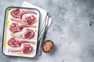 Ready for cooking raw lamb chop steaks with spices and herbs. Gray background. Top view. Copy space photo