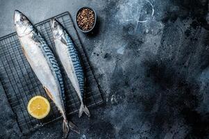 Fresh Raw mackerel scomber fish ready for grilling. Black background. Top view. Copy space photo