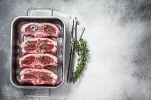 Marinated Raw meat of lamb mutton saddle in steel tray with thyme, spices and olive oil. White background. Top view. Copy space photo