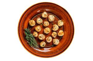 Fried scallops with butter spicy sauce in a plate. Isolated on white background. photo