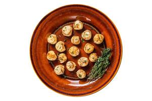 Fried scallops with butter spicy sauce in a plate. Isolated, white background. Top view. photo