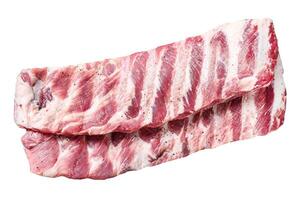 Fresh raw lamb spare ribs with spices and herbs. Isolated on white background. Top view. photo