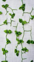 Stems creating a lattice pattern on fabric wall hanging, photorealistic wallpaper photo
