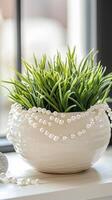 String of pearls in a ceramic planter on a shelf surface, photorealistic wallpaper photo
