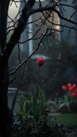 Tulip stems rising from garden beds beneath bare branches in March, wallpaper art photo