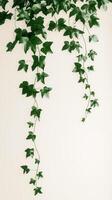 Wandering vine flowing from a ceiling-mounted container, photorealistic wallpaper photo