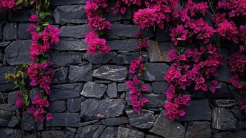 A wall with purple flowers growing on it photo